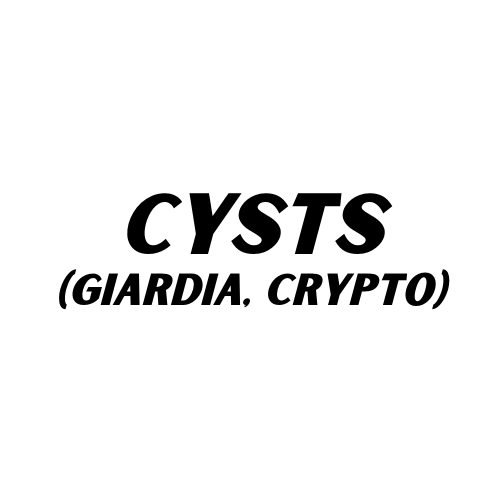 "Cysts (Giardia, Crypto)" Text