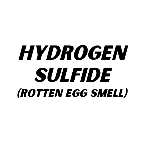 "Hydrogen Sulfide (Rotten Egg Smell)" Text
