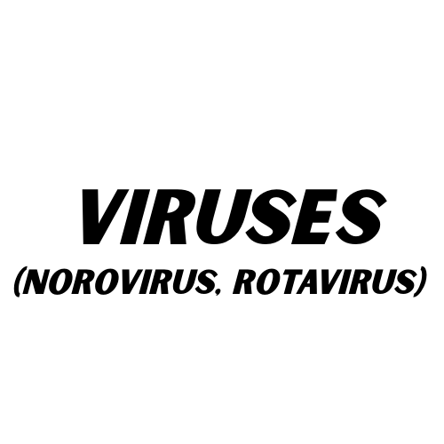 "Viruses (Norovirus, Rotavirus)" Text