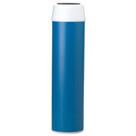 Pentek GAC-10 Carbon Filter Cartridge (155109-43)